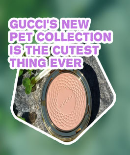 Gucci beauty bronzer