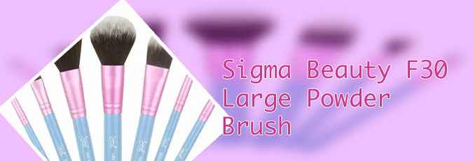 Sigma makeup brushes